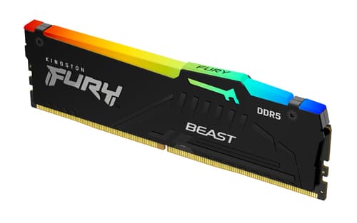 Kingston Technology FURY Beast RGB 1 x 16 GB 5600 MT/s 288-pin DIMM